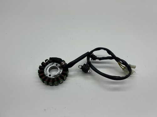 Statore alternatore magnete - statore,