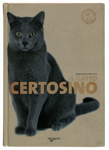 Ebond gatto certosino - certosino,