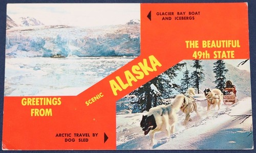 Saluti dall alaska - dall'alaska,, slitta