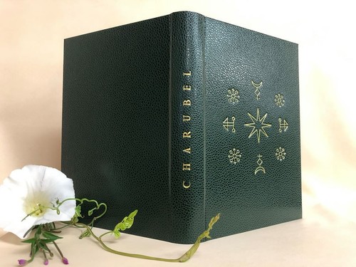 Charubel the healing spirits - charubel,