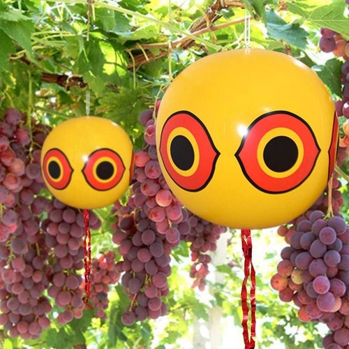 Set palloni - set, di
