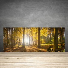 Paraspruzzi Cucina in Vetro