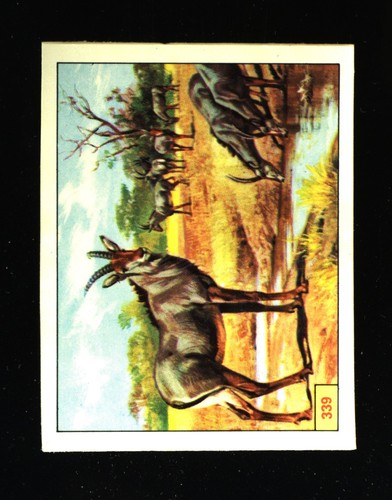 Animali preistorici - preistorici, (1974)