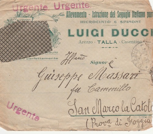 Busta ducci allevamento - ducci,