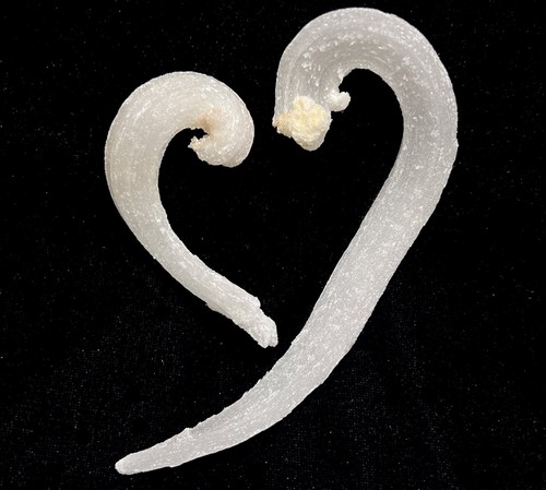 Pezzi selenite forma di - 2, a