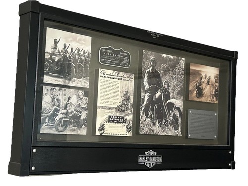 Harley davidson 2010 archivio - 2010,