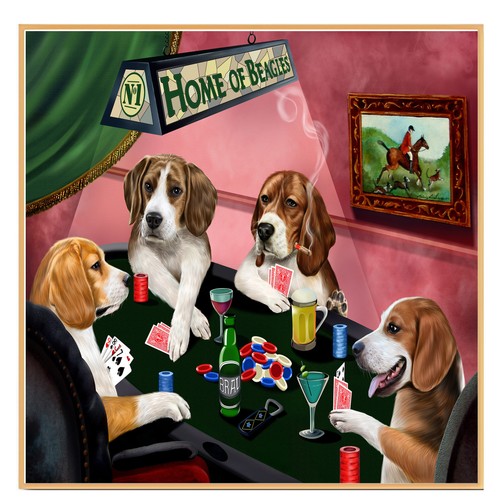 Home beagle dogs playing - beagle,