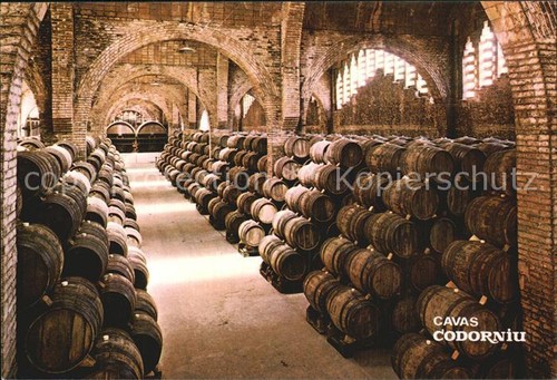 Cantina vino cavas codorniu - cantina,