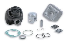 MALOSSI 3113066 GRUPPO TERMICO