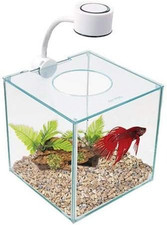 Cubus glass betta kit - cubus,