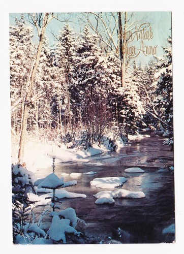 Cartolina buon natale - cartolina,