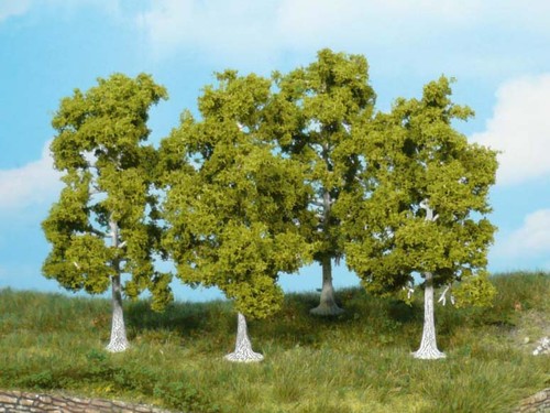 Heki 1921 alberi di betulle - -,