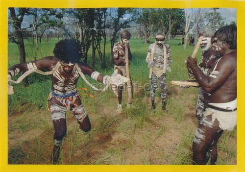 Panini national geographic - geographic,