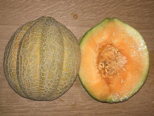 Zucchero melone oregon - melone,