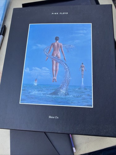 Pink floyd shine 9 cd - floyd,
