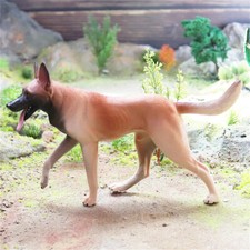 Figura animale canidae modello belga Malinois cane animale domestico educativo bambini regalo decorazione