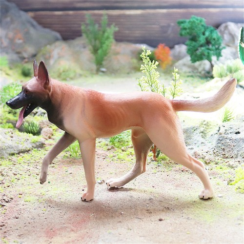 Figura animale canidae modello