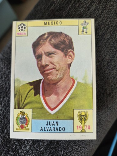 Panini 1970 trading - panini,