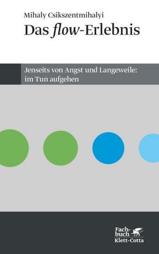 Das flow erlebnis - das,