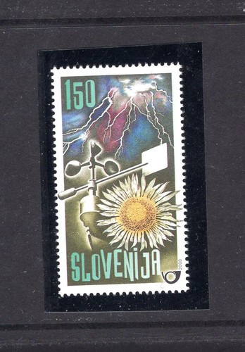 Slovenia 2000 francobollo - -,