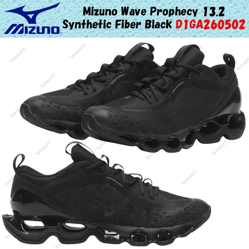 Mizuno wave prophecy 2 - mizuno,