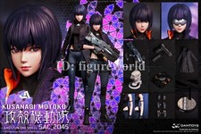 Pre-order DAMTOYS DMS042 1/6