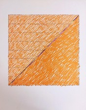 VERNA CLAUDIO (Chieti, 1937) SENZA TITOLO riproduzione fotolitografica s.d. fogl