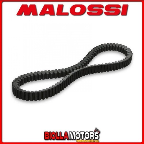 6113396 cinghia variatore - x, k