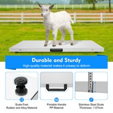 Bilancia digitale animale 300