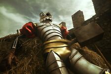 Medievil Sir Daniel ps4 armatura armor Cosplay