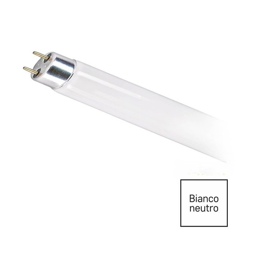 Neon tubo 30w 230v - t8,