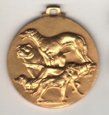 ALESSANDRIA MEDAGLIA ESPOSIZIONE CANI OPUS MORBIDUCCI (MM.37) #MD563
