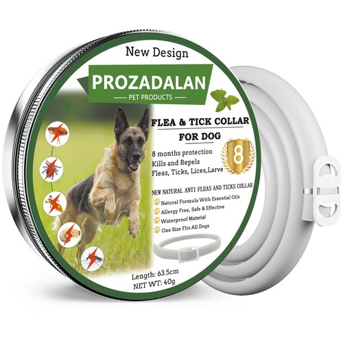 Collare antipulci zecche - collare,