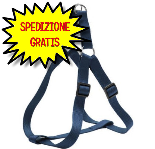 Camon pettorina flash - pettorina,