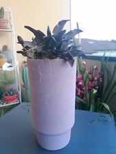 Vaso Decorativo Lilla Con Pianta Finta