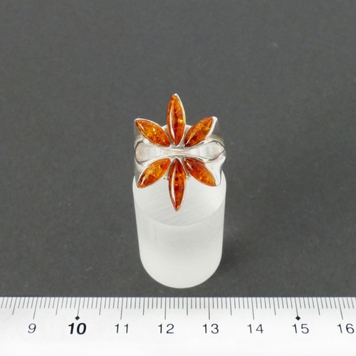 Anello ambra varie - , misure