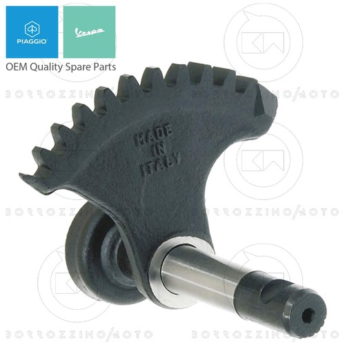 Settore avviamento denti - settore,
