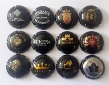 LOTTO DI n°12 CAPSULE SPUMANTE ITALIANE TUTTE DIVERSE come da foto allegata h.