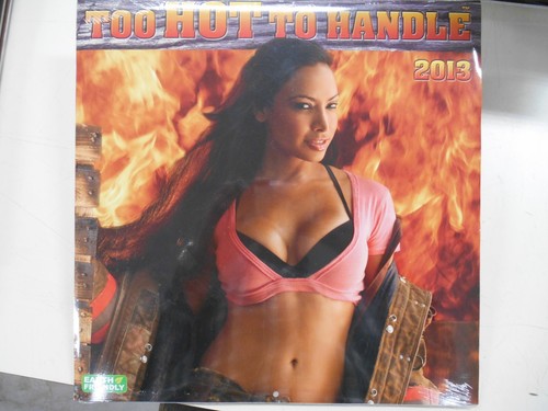 Calendario 2013 troppo - , caldo