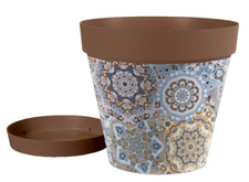 Vaso piante grasse fiori semi - piante,