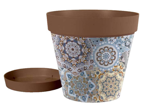 Vaso piante grasse - fiori, semi