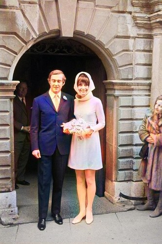 Rarissimo colore ancora audrey - ancora,