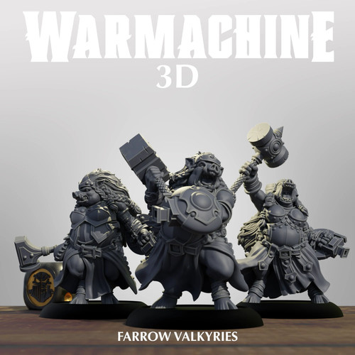 Farrow valkyries thornfall - valkyries,