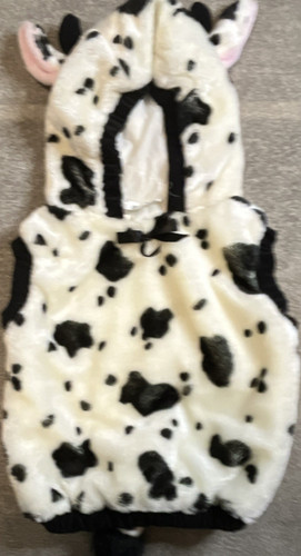 Celebration halloween cow - celebration,