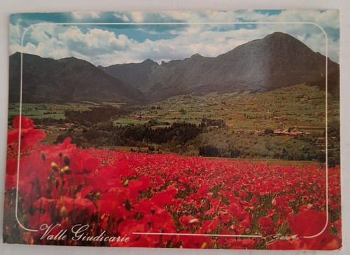 Cartolina epoca valle - d'epoca,