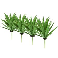 4 Pezzi Piante Succulente