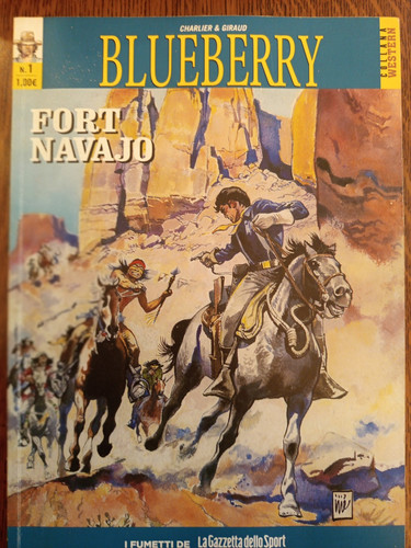 Blueberry fort navajo - n,