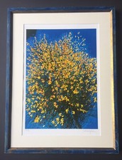 Autore Sconosciuto, Litografia