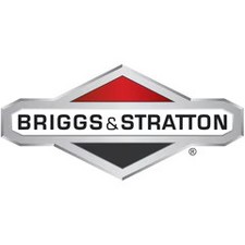 Briggs & Stratton