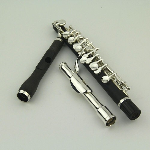Piccolo strumento fascia - piccolo,